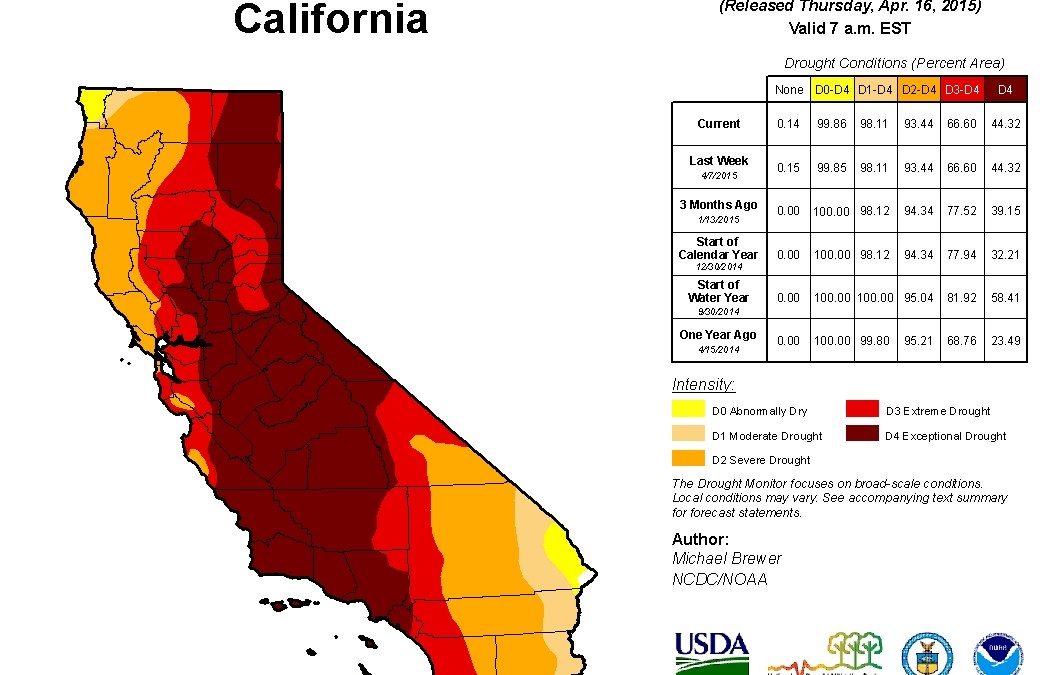 Not a Drop to Drink: Our Dwindling Access to Clean Drinking Water