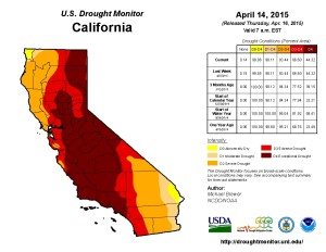 CA drought